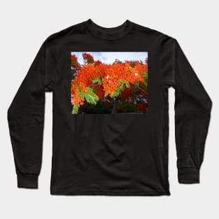 Tropical Elegance: Poinciana Tree Photo Artwork Long Sleeve T-Shirt